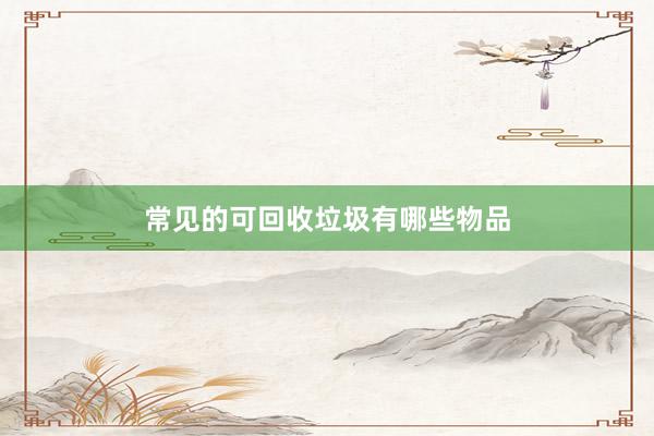 常见的可回收垃圾有哪些物品