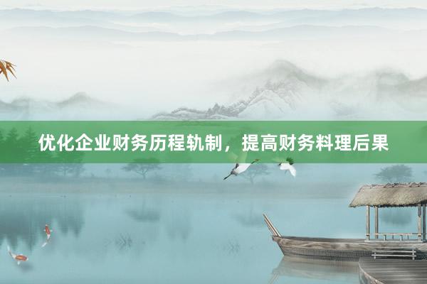 优化企业财务历程轨制，提高财务料理后果