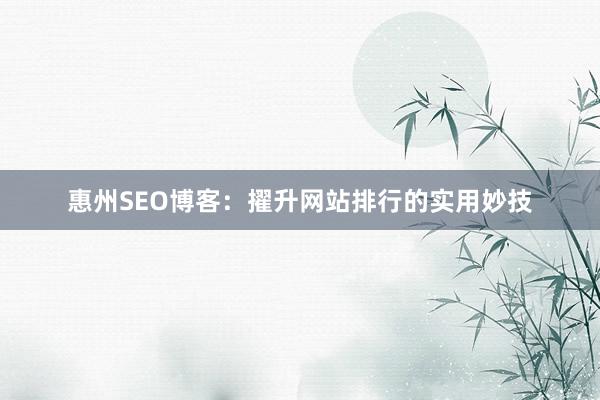 惠州SEO博客：擢升网站排行的实用妙技